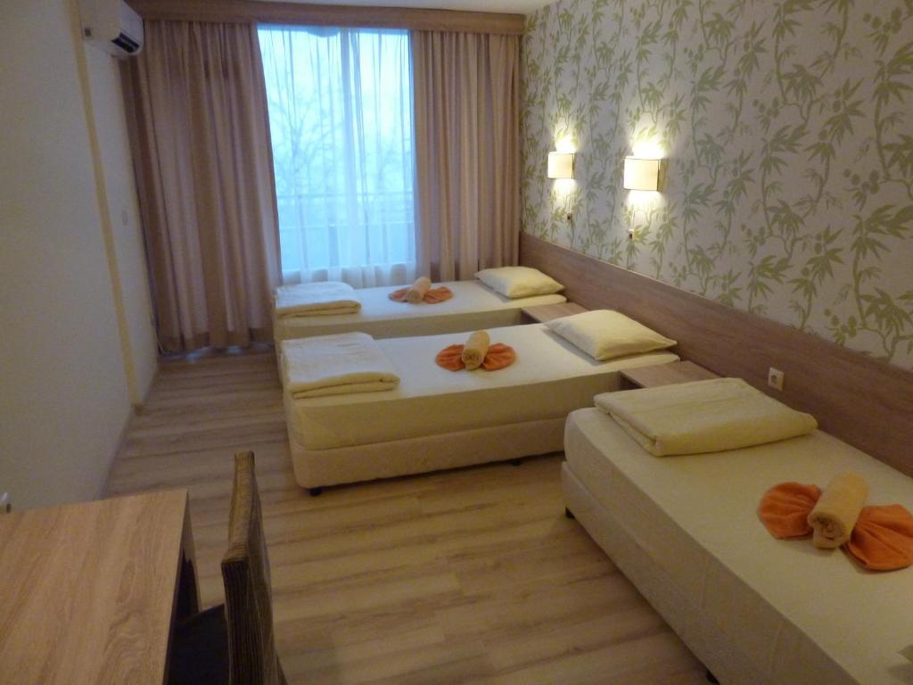 Hotel Zarya Golden Sands Quarto foto